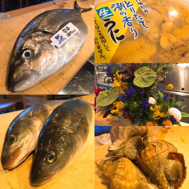 メントスコーラ 魚 日本