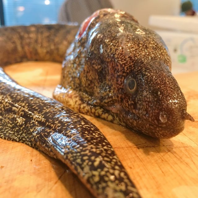 うつぼの刺身 小岩駅1分 和食魚たも うおたも